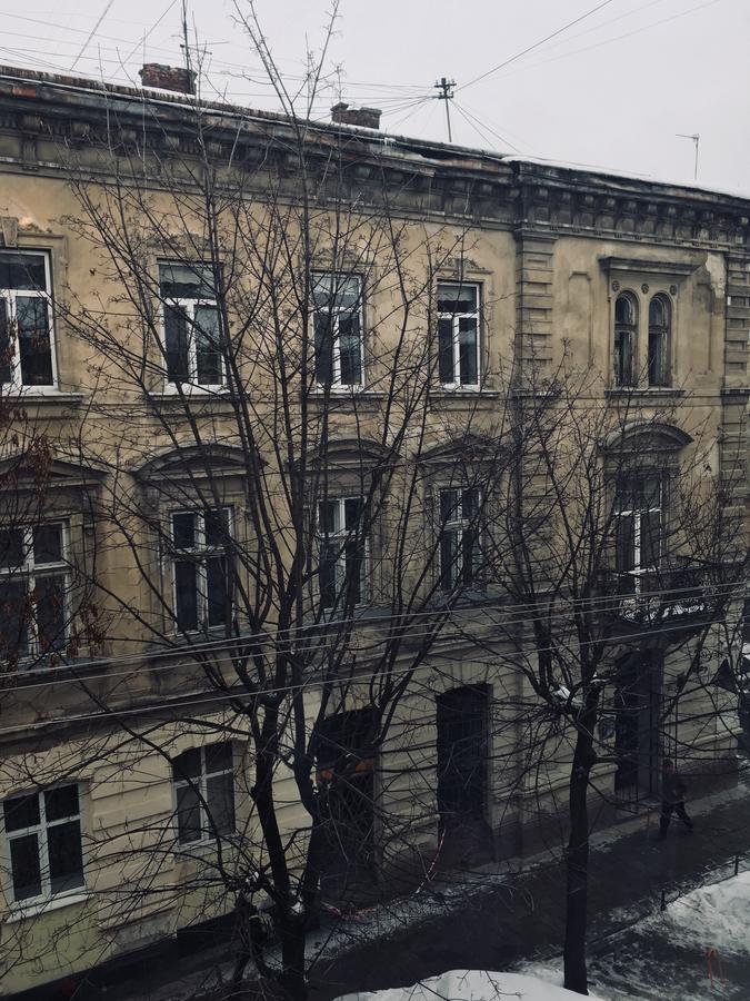 Modern Chaikovskogo Apartment Lviv